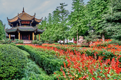 traditional-chinese-medicine-landscape