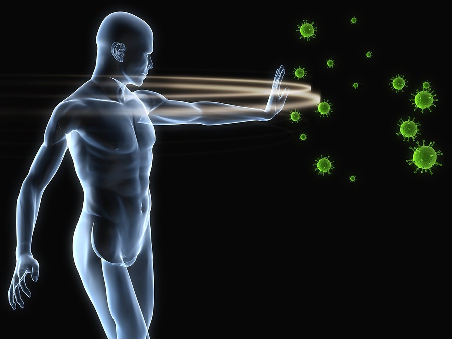 The Effect of Acupuncture on the Immune System